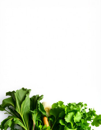 Fresh herbs on white background. Top view. Flat lay. Copy spaceの写真素材