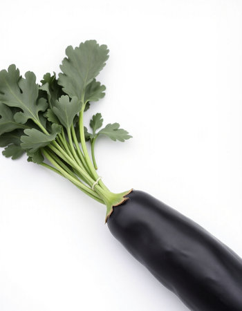 Eggplant and parsley isolated on white background with clipping pathの写真素材