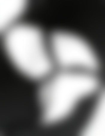 abstract black and white background with some smooth spots and highlights on itの写真素材