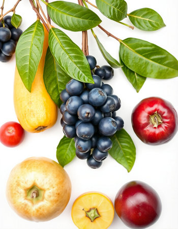 Fresh fruits and vegetables isolated on white background. Healthy food concept.の写真素材