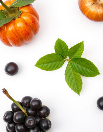 Pumpkin, black currant, gooseberry and blackcurrant on white backgroundの写真素材