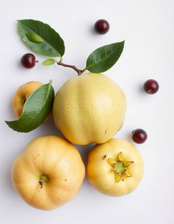 Ripe yellow quince with leaves and berries on a white backgroundの写真素材