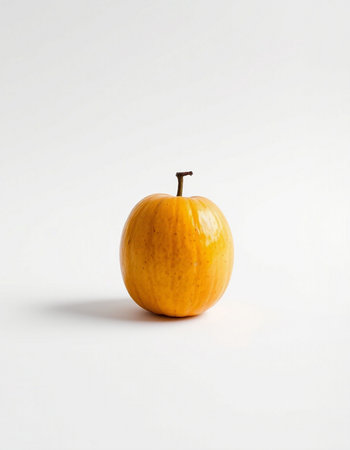 Ripe yellow apple on a white background. Autumn harvest concept.の写真素材