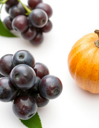 Pumpkin and black chokeberry on a white background. Autumn harvest.の写真素材
