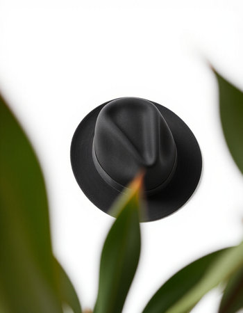 Black hat with green leaves on a white background, close-upの写真素材