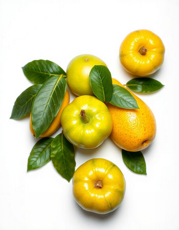 Ripe orange and grapefruit with leaves on a white background.