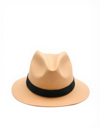 Brown hat isolated on white background with clipping path for fashion and beauty conceptの写真素材