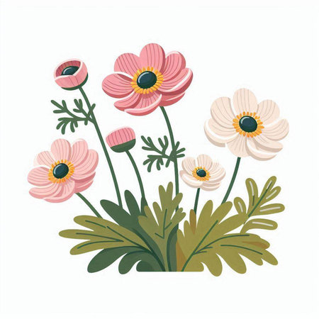 floral card with pink anemone flowers isolated on white backgroundのイラスト素材