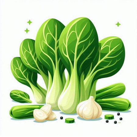Vector illustration of fresh green chinese cabbage, garlic, pepper and onion.のイラスト素材