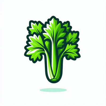 Celery icon. Vector illustration of celery isolated on white background.のイラスト素材
