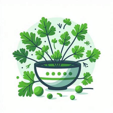 Parsley in a bowl. Vector illustration in flat style.のイラスト素材