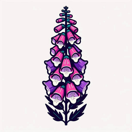 Digitalis purpurea or foxglove. Vector illustration.のイラスト素材