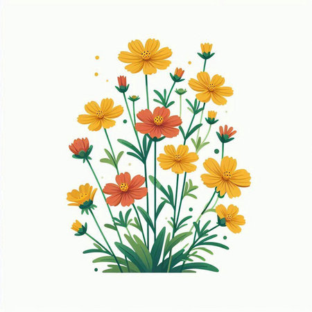Cosmos flowers vector illustration. Isolated on white background. Vector illustration.のイラスト素材