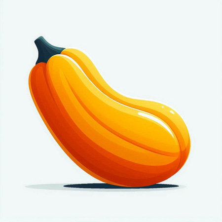 Pumpkin on a white background. Vector illustration of a pumpkin.のイラスト素材