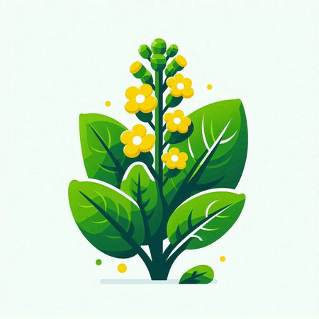 Green plant with yellow flowers on a white background. Vector illustration.のイラスト素材