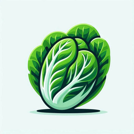 Lettuce vector icon. Lettuce vector icon. Lettuce vector icon. Lettuce vector iconのイラスト素材