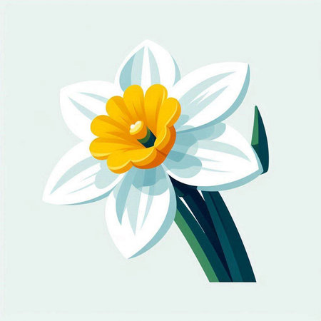 Narcissus flower vector illustration in flat style. Spring floral background.のイラスト素材