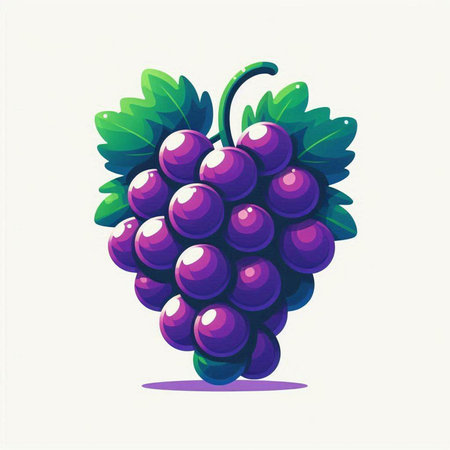 Grapes, vector illustration of a bunch of grapes with leavesのイラスト素材