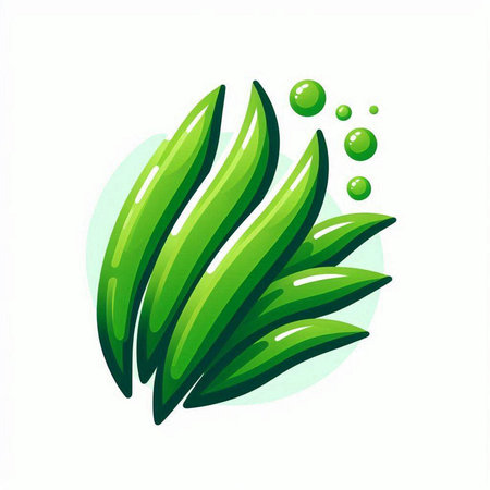 Eucalyptus leaves. Vector illustration in cartoon style.のイラスト素材