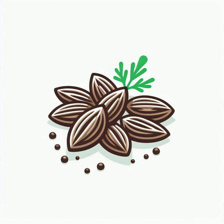 Coriander seeds isolated on a white background. Vector illustration.のイラスト素材