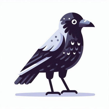 Crow. Vector illustration of a bird on a white background.のイラスト素材