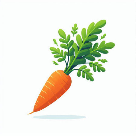 Carrot isolated on white background. Vegetable vector illustration. Flat style.のイラスト素材