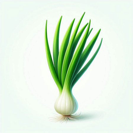Green onion isolated on white background. Vector illustration. Eps 10.のイラスト素材