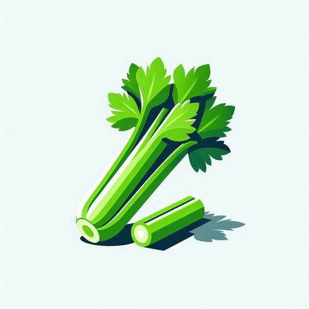 Celery icon. Vector illustration. Isolated on white background.のイラスト素材