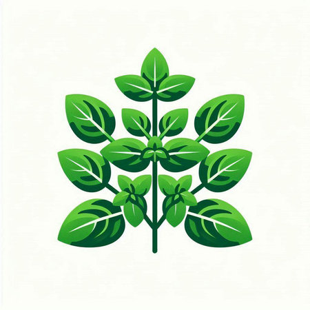 Mint leaves icon isolated on white background. Vector illustration for your designのイラスト素材