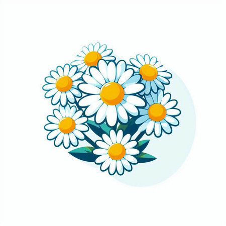 Bouquet of daisies on a white background. Vector illustration.のイラスト素材