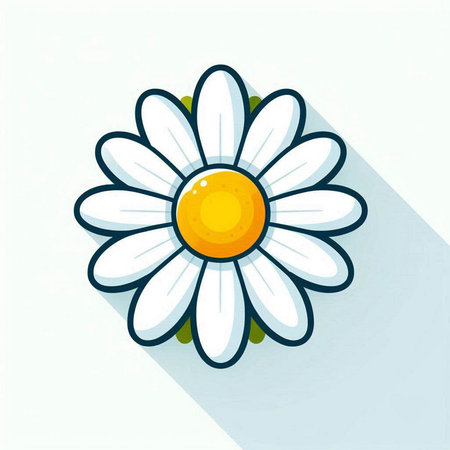 Daisy flower icon, vector illustration. Flat design style with long shadowのイラスト素材