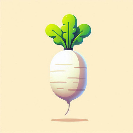 Radish with green leaves on a light background. Vector illustration.のイラスト素材