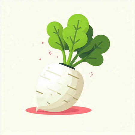 White radish with green leaves. Vector illustration in flat style.のイラスト素材