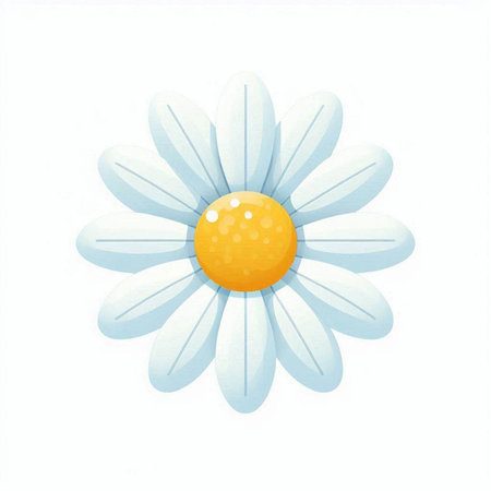 Illustration of a daisy flower on a white background. Vector illustration.のイラスト素材