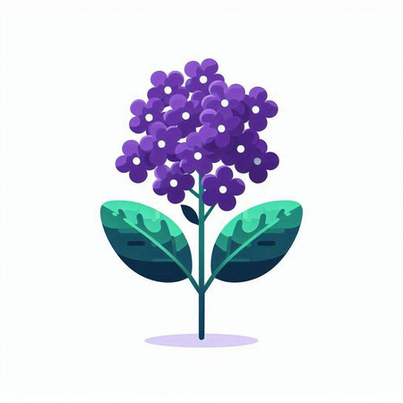 Purple flowers on a white background. Vector illustration in flat style.のイラスト素材