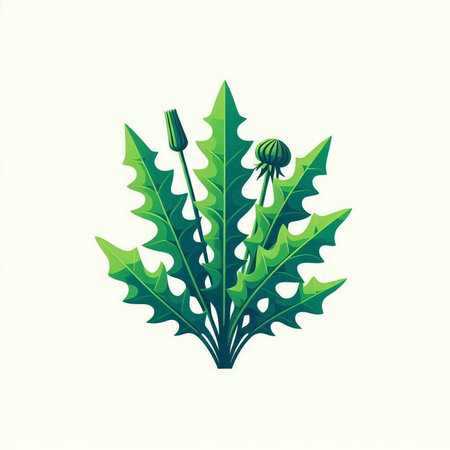 Vector illustration of a green leaf with dandelion seeds on a white backgroundのイラスト素材