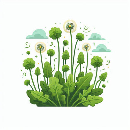 Dandelion flower with green leaves and clouds. Vector illustration.のイラスト素材
