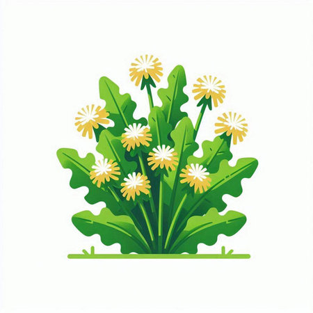 Dandelion flowers isolated on a white background. Vector illustration.のイラスト素材