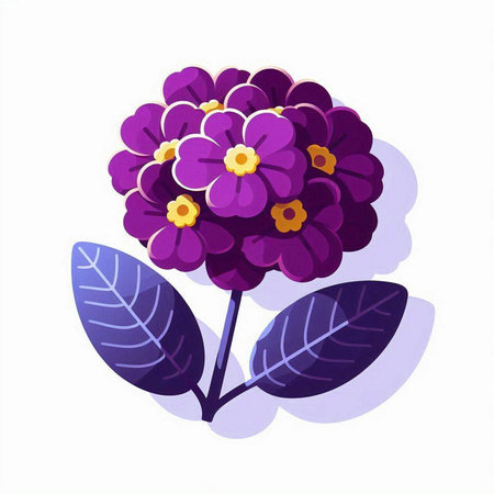 Purple primrose flowers on a white background. Vector illustration.のイラスト素材