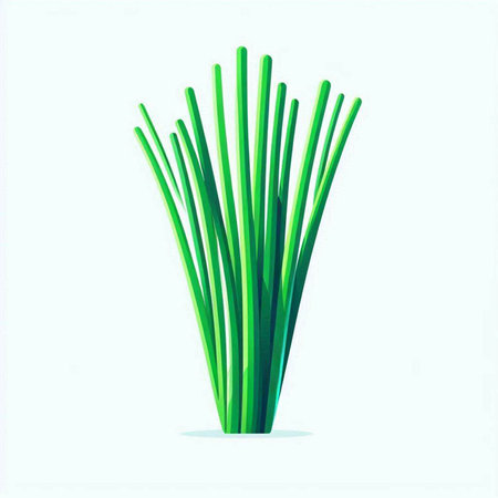 green onion isolated on white background. Vector illustration. Eps 10.のイラスト素材