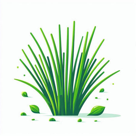 Green grass isolated on white background. Vector illustration. Eps 10.のイラスト素材