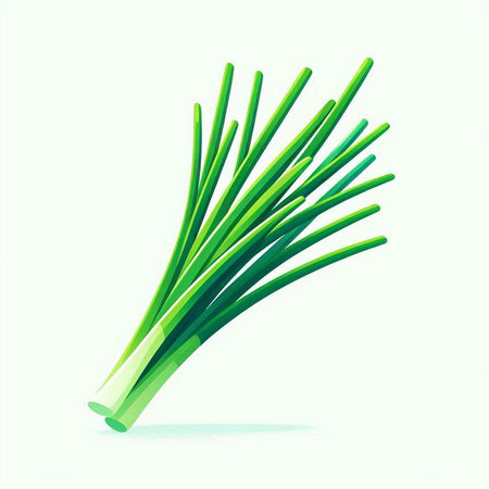 Spring onion on white background. Vector illustration. Eps 10 file.のイラスト素材