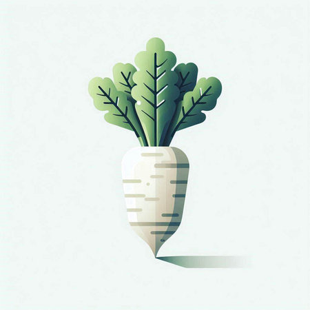 Radish. Vector illustration. Vegetable. Vegetarian food.のイラスト素材