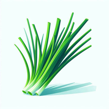 green onion on a white background. Vector illustration of green onion.のイラスト素材
