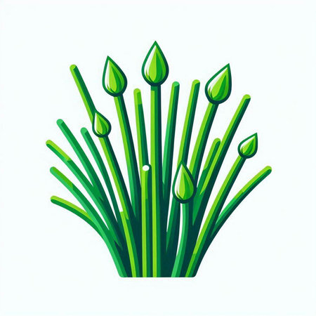 Vector illustration of chives isolated on white background. Chives icon.のイラスト素材