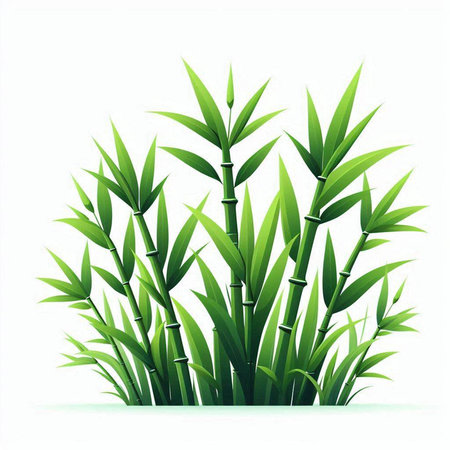 Green bamboo on a white background. Vector illustration. Eps 10.のイラスト素材