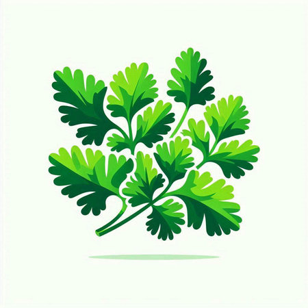 parsley vector icon. parsley illustration isolated on white backgroundのイラスト素材
