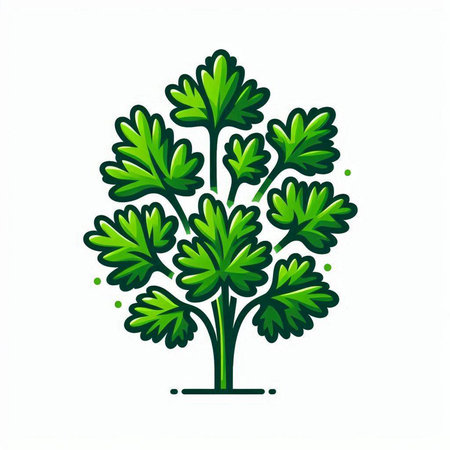 Parsley icon isolated on white background. Vector illustration for your designのイラスト素材