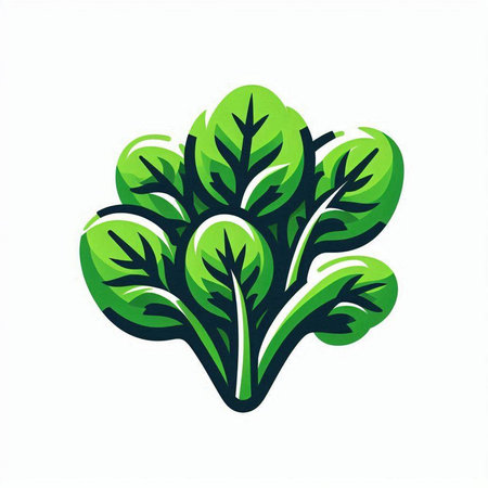 Lettuce icon isolated on a white background. Vector illustration.のイラスト素材