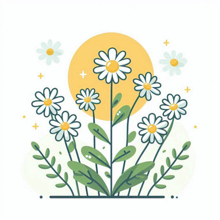 Daisy flowers and sun. Hand drawn vector illustration in flat style.のイラスト素材